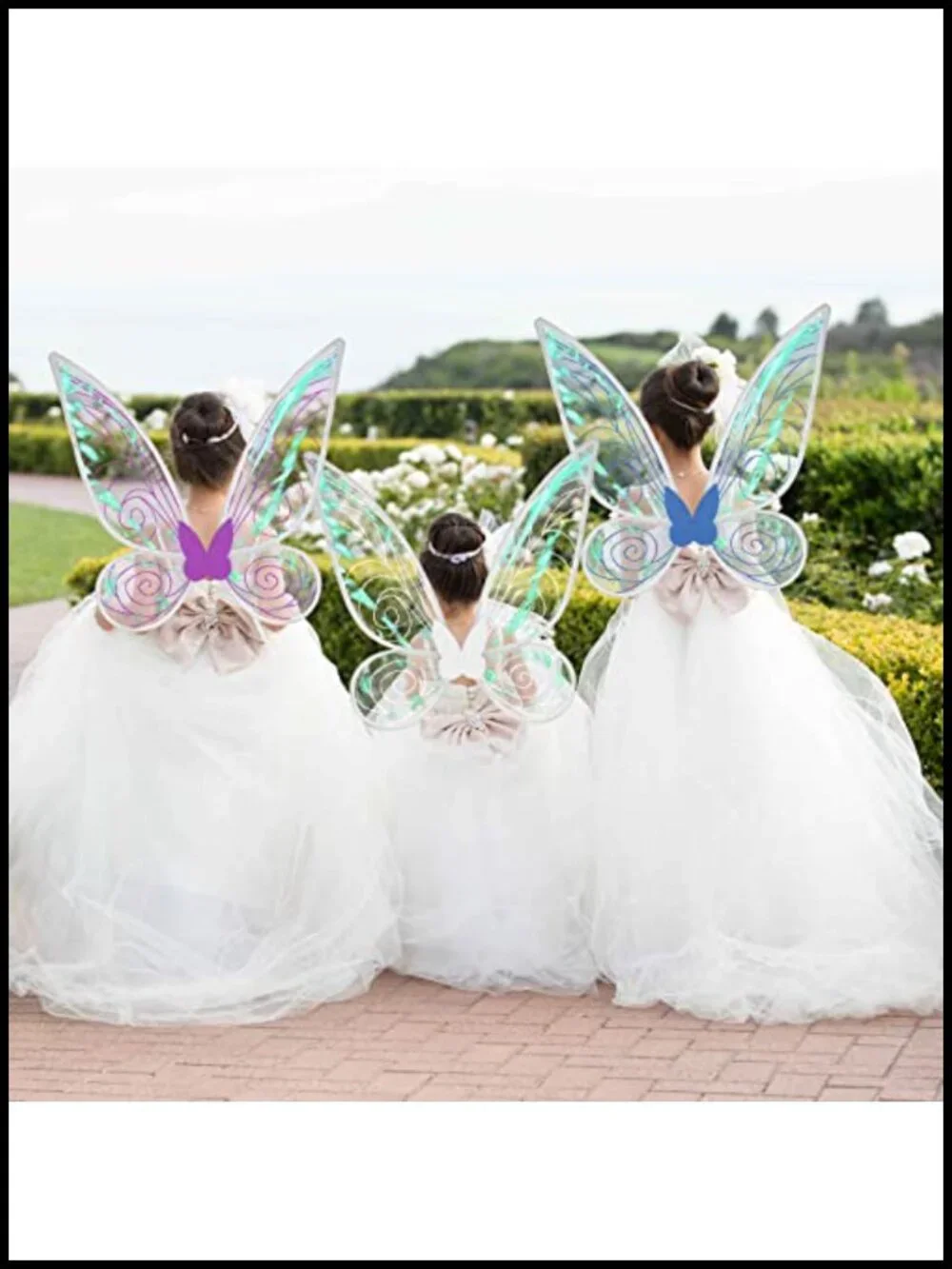 N/A fairy wings